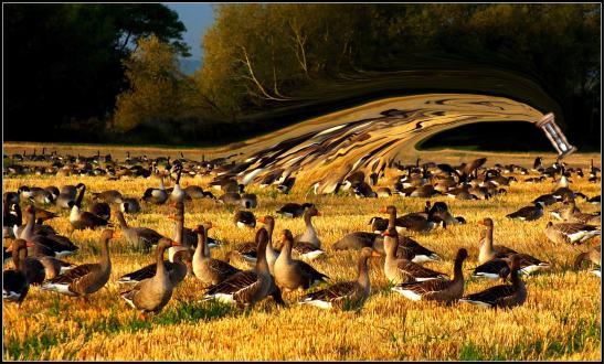 Losing to the sands of time...